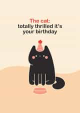 Funny Cat Birthday Card For Cat Lover — Totally Thrilled It's Your Birthday created by Gemma Pratt
