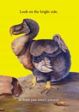 Funny Birthday Card - Dodo - Bright Side created by Ohh Deer