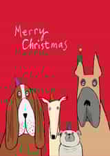Funny Christmas Card - Party Dogs - Long Faces created by Paper Bird