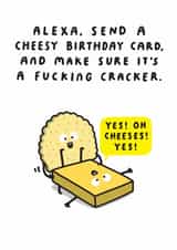 Rude Birthday Card - Cheesy Pun created by mungo and shoddy