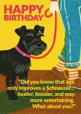 Cute Birthday Card - Schnauzer - Dog created by Jon Downer