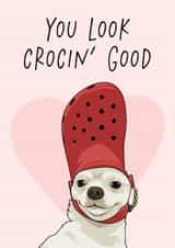 Funny Anniversary/Valentine's Day Card - Dog Crocs - Crocin' Good created by Sundiva Designs