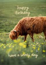 Classic Birthday Card - Highland Cow - Photographic created by Fliss Muir