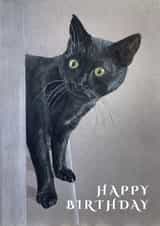 Happy Birthday Inquisitive Kitty! created by Peter Ratcliffe