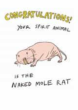Funny Birthday Card - Naked Mole Rat created by Trashy Mags