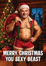 Funny Christmas Card - Sexy Beast created by Picardso