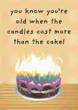 Funny Birthday Card – Too Many Candles Fire Hazard Joke created by Luca’s Cardz