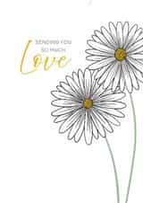 Classic Daisies Thinking of You Card for a Friend created by Lisa Swift Illustration