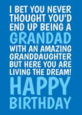Funny Birthday Card For Grandad - From Granddaughter - Living The Dream created by @Cupsie's Creations
