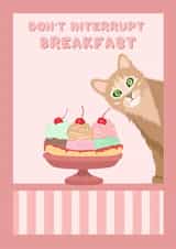 Cute Birthday Card - Cat - Don't Interrupt Breakfast - crazy cat lady created by Suzanne Taktak
