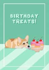 Cute Birthday Card - Birthday Treats! - Dog - corgi card - naughty puppy created by Suzanne Taktak