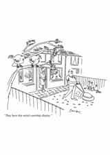 Funny Anniversary Card - Courtship Display - Lawn Mowing created by Punch Limited