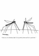 Funny Birthday Card - Saturday Night - Mosquitos created by Punch Limited