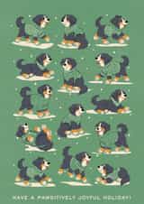 Sweater paws created by Sabrin Deirani