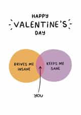 Funny Valentine's Day Card - Drives Me Insane, Keeps Me Sane - Venn Diagram created by Sydney Jo Designs