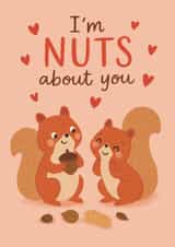 Cute Anniversary / Valentines Card - Squirrel Pun - I’m Nuts About You created by Sydney Jo Designs