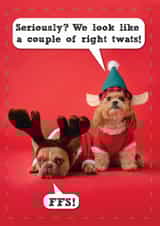 Funny Christmas Card - Dogs - We Look Like A Couple Of Right Twats! created by Brainbox Candy