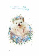 Cute New Baby Card - Hedgehog - Baby Boy created by Lola Design