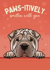 Cute Valentine's Day Card - From The Dog - Sharpei created by Choo Choo 