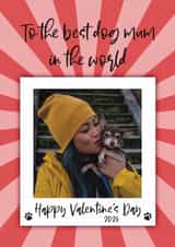 Personalised Valentines Day Photo Card created by The Merry Giraffe - Valentine’s Day Photo Card – Cute Dog Mum Card – From the Dog
