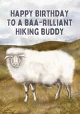 Cute Birthday Card - Hiking Buddy - Sheep created by Hello Fridays Studio