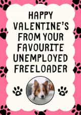 Personalised Valentines Day Photo Card created by Sundiva Designs - Funny Valentine's Day Card - Unemployed Freeloader - From The Pet