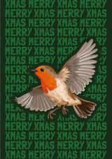 Funky Christmas Card - Cute Robin For Friends & Family - Merry Xmas created by Featherkissed