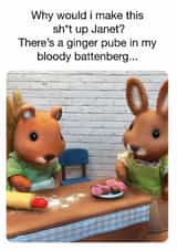 Funny Birthday Card – Ginger Pube In My Battenberg created by Brainbox Candy