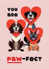 Cute Valentine's Day Card - For Significant Other - You Are Paw-fect - From Dog created by Folio | Ian Owen