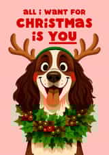 Cute Christmas Card - All I Want Is You - Reindeer Dog created by Folio | Ian Owen