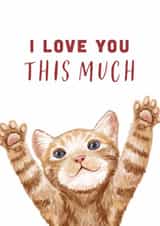 Cute Cat 'I Love You This Much' Valentine's Day/Anniversary Card created by Debbie Daley Illustrations