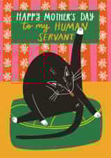 Funny Mother's Day Card | Funny Cat | Licked my bum created by AbiGoLucky