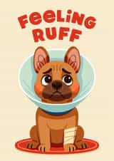 Cute Get Well Card - Feeling Ruff - Dog created by Folio | Ian Owen