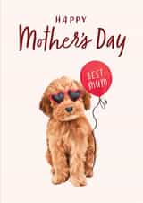 Cute Mother's Day Card - Cockapoo Dog - Balloon - Best Mum created by Debbie Daley Illustrations