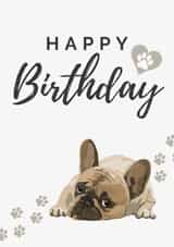 Dog Happy Birthday created by House of Aurora