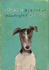 Dog in jumper - Birthday card - whippet - greyhound - lurcher created by Greyling Post
