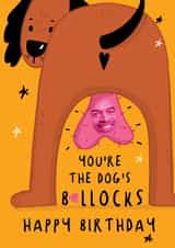 Funny Birthday Card - Dogs Bollocks created by NICHOLA COWDERY ILLUSTRATIONS 