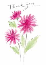 Pretty Thank You Card - Pink Dahlias created by Gabrielle Solly Illustration