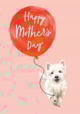 Cute Mother's Day Dog with Balloon Card - Westie - From The Dog created by Debbie Daley Illustrations