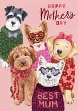 Cute Mother's Day Card -Dogs In Jumpers created by Debbie Daley Illustrations