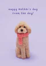Cute Mother's day card - Needlefelt dog - Happy Motther's day from the dog! created by Lemon and Sugar 