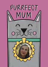 Personalised Mothers Day Photo Card created by Muses & May  - Cute Mother's Day Card - Greyr Cat - Purrfect Mum