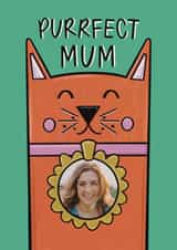 Personalised Mothers Day Photo Card created by Muses & May  - Cute Mother's Day Card - Ginger Cat - Purrfect Mum