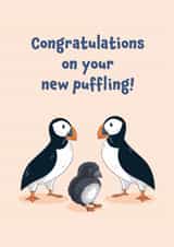 Cute Puffin New Baby Card - Congratulations On Your New Puffling created by Fox & Finch