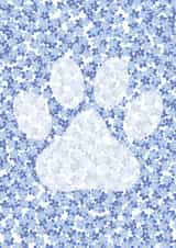 Paw print pet loss sympathy created by The Pawsitive Pet Nurse
