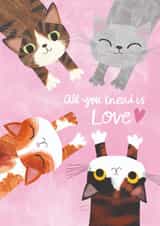 Cute Valentine's Day Card - All You Knead Is Love - Cats created by Ohh Deer