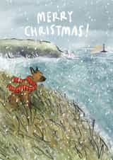 Merry Christmas From the Coast created by Becca Hall illustration