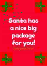 Santa's Package created by Bold DeeZinz