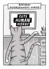Funny Birthday Card - Cat - Birthday Entertainment Sorted - Cute Human Videos created by Running with Scissors
