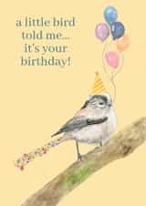 A Little Bird Told Me It’s Your Birthday – Cute Bird & Balloons Card created by Jen Winnett